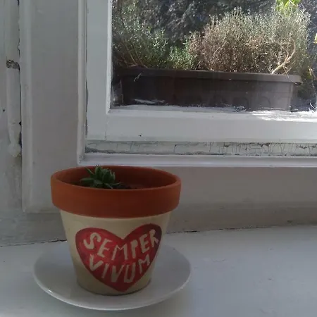 Charming Bright Flat In The Center 아파트 *